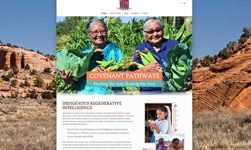 Covenant Pathways Website